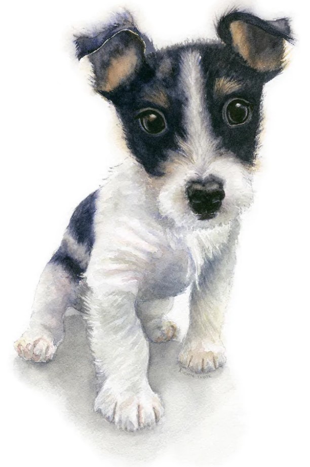 Meet The Artist Evening – Watercolour Artist, Kirstie Trobe – Art ...